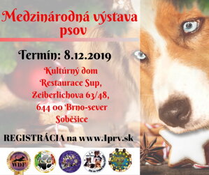 Medzinárodná výstava psov Brno