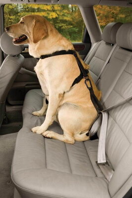 Bezpečnostný autopás pre psa s uškom Kurgo Seatbelt Tether