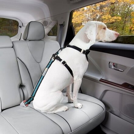 Bezpečnostný autopás pre psa s upínacím mechanizmom Kurgo Direct to Seatbelt Tether modrý